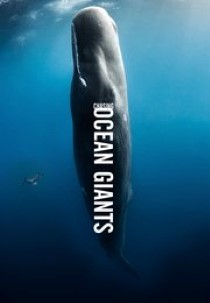 Chasing Ocean Giants