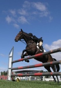 Equestrian: European Eventing Championships - Show Jumping