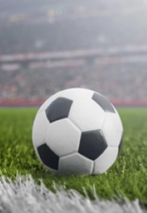 Europa Cup Finale van 25 mei 1988: PSV – Benfica