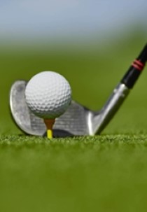 Golf: Arnold Palmer Invitational