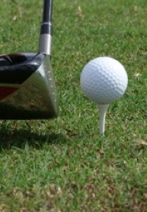 Golf: WGC-Dell Technologies Match Play