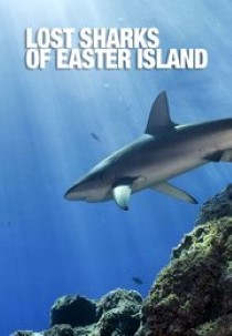 Lost Sharks of Easter Island