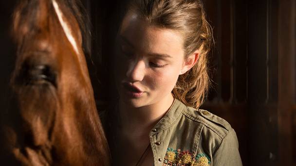 Manege Immenhof: Een zomer vol avontuur