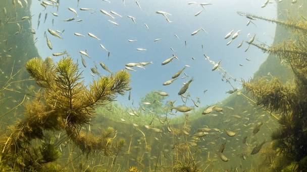 Nederland onder water