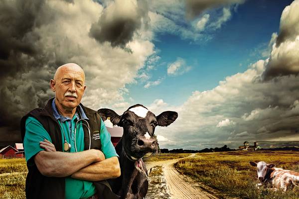 The Incredible Dr. Pol 16