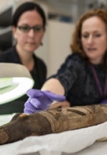 The Secret Of the Animal Mummies