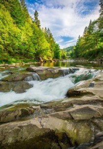 The Stechlin: In the Realm of Lucid Lakes