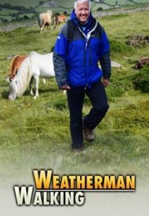 Weatherman Walking