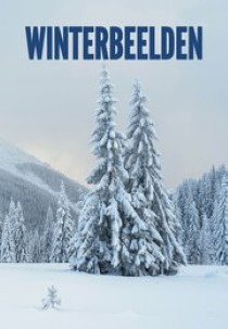 Winterbeelden